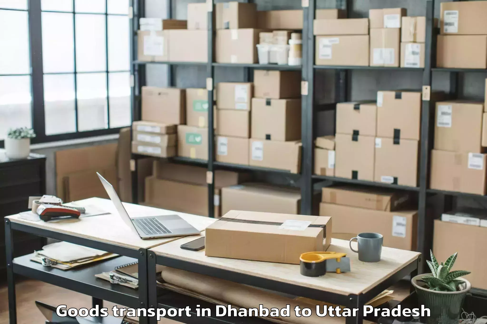 Professional Dhanbad to Banda Goods Transport